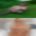 Women Minnesota that want fuck