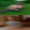 Meet horny women Longview