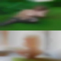 Horny white women North