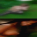 Phone numbers single girls